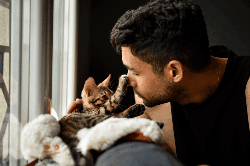Playful kitten and man cuddling by window, adorable pet affection, cozy home atmosphere, cute cat and owner bonding, domestic animal love, The Solemn Sir.