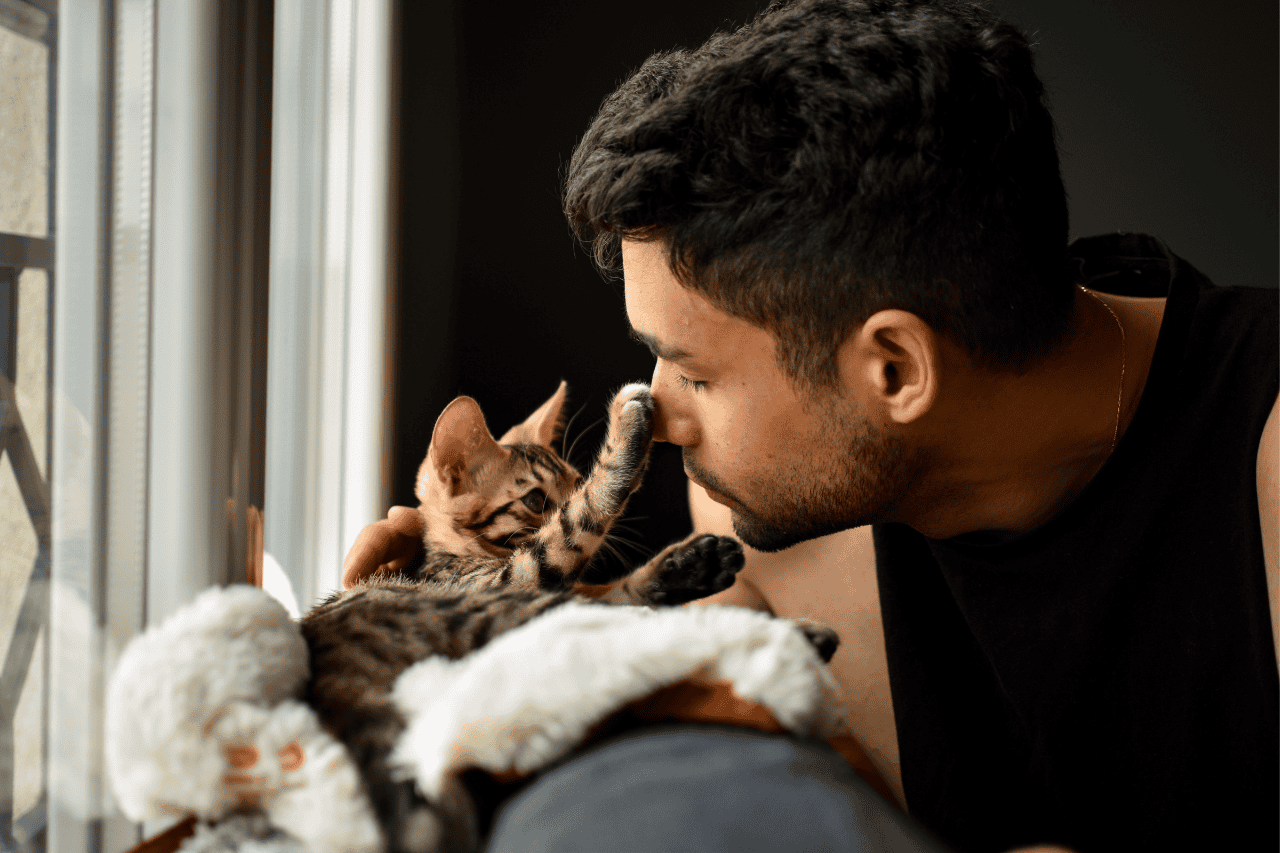 Playful kitten and man cuddling by window, adorable pet affection, cozy home atmosphere, cute cat and owner bonding, domestic animal love, The Solemn Sir.